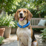 Collar Refrescante Polar Neck para perros