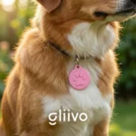 Identificador QR para Collar de Mascotas - Imagen 2