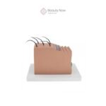 Modelo de Piel Humana 3D - Imagen 2